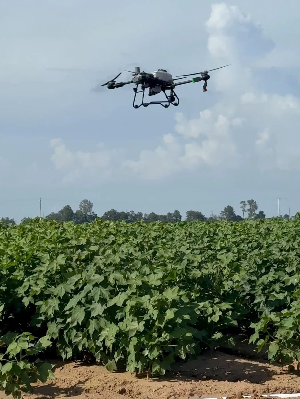 Talos agricultural drone centered above a green crop while flying