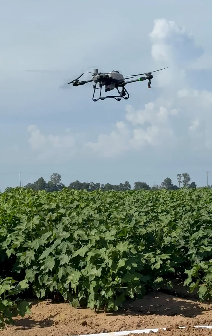 Talos T60X flying above green crop rows